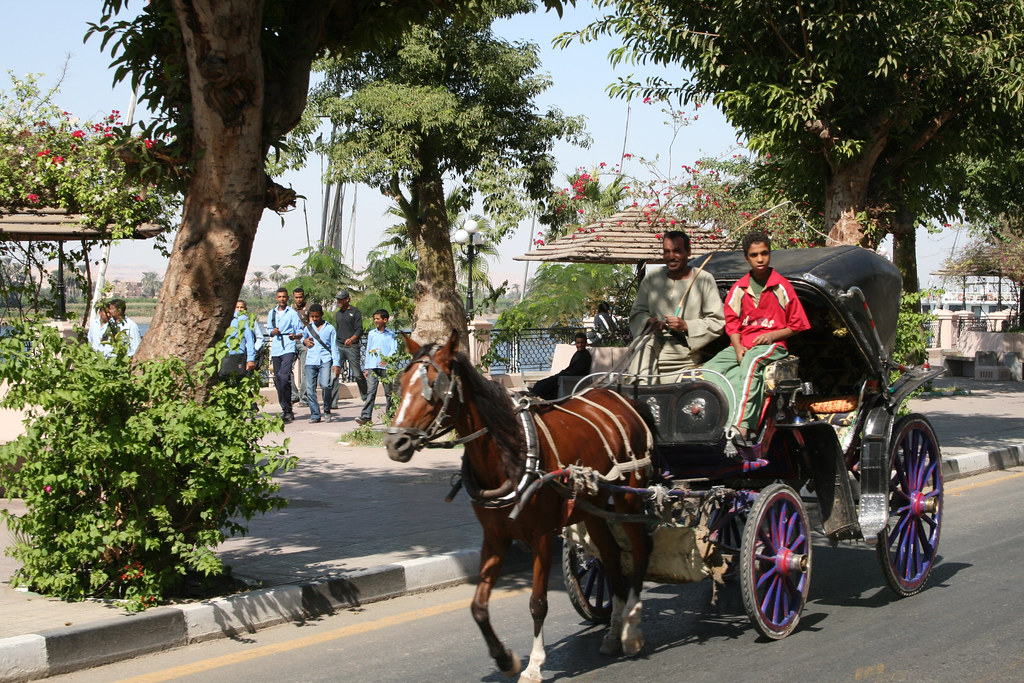 A Day Tour in Luxor City