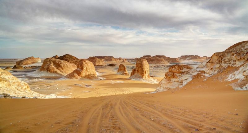 safari in egypt