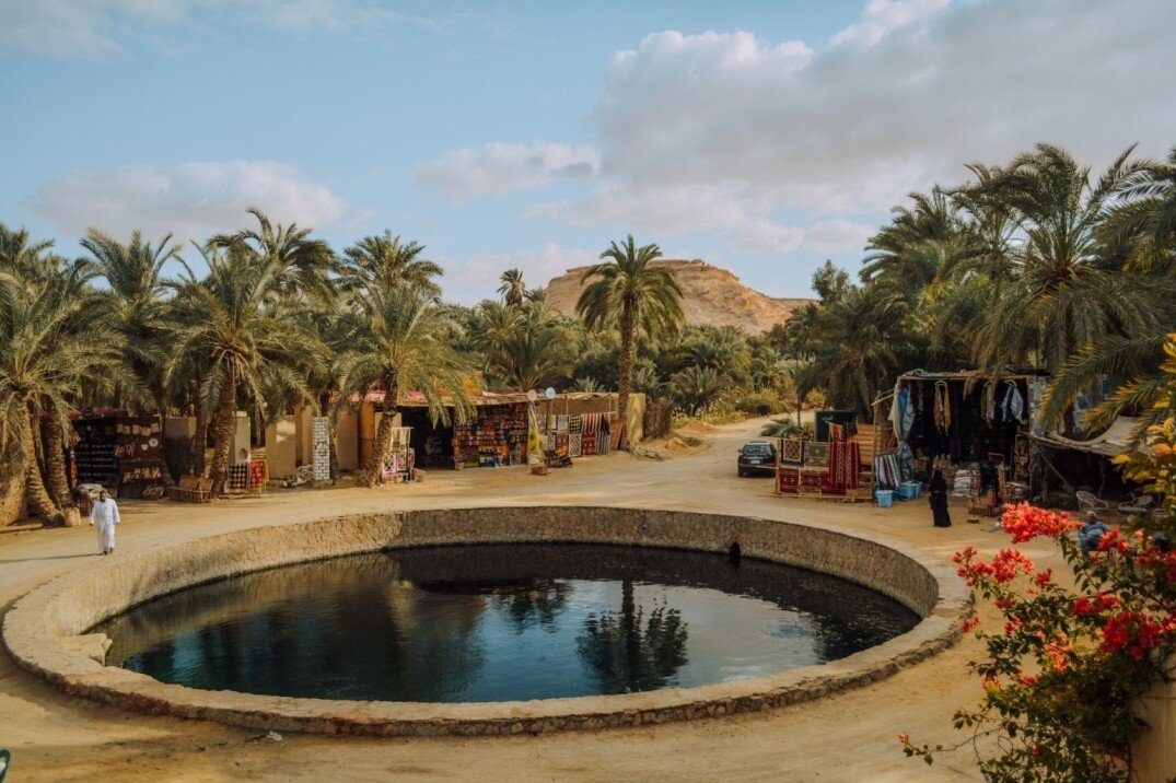 {"en":"The Siwa Oasis"}