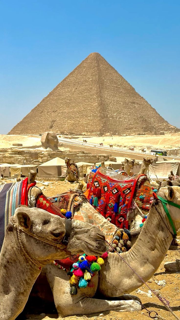 {"en":"5 Days Vacation in Cairo and Luxor"}