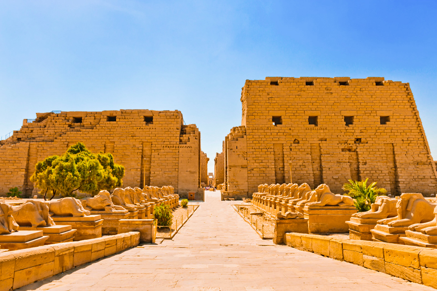 {"en":"Two-Day Cairo and Luxor Trip from Marsa Alam"}