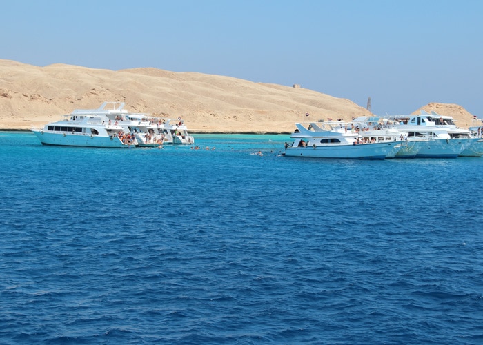 {"en":"Cairo Day Trip From Marsa Alam"}