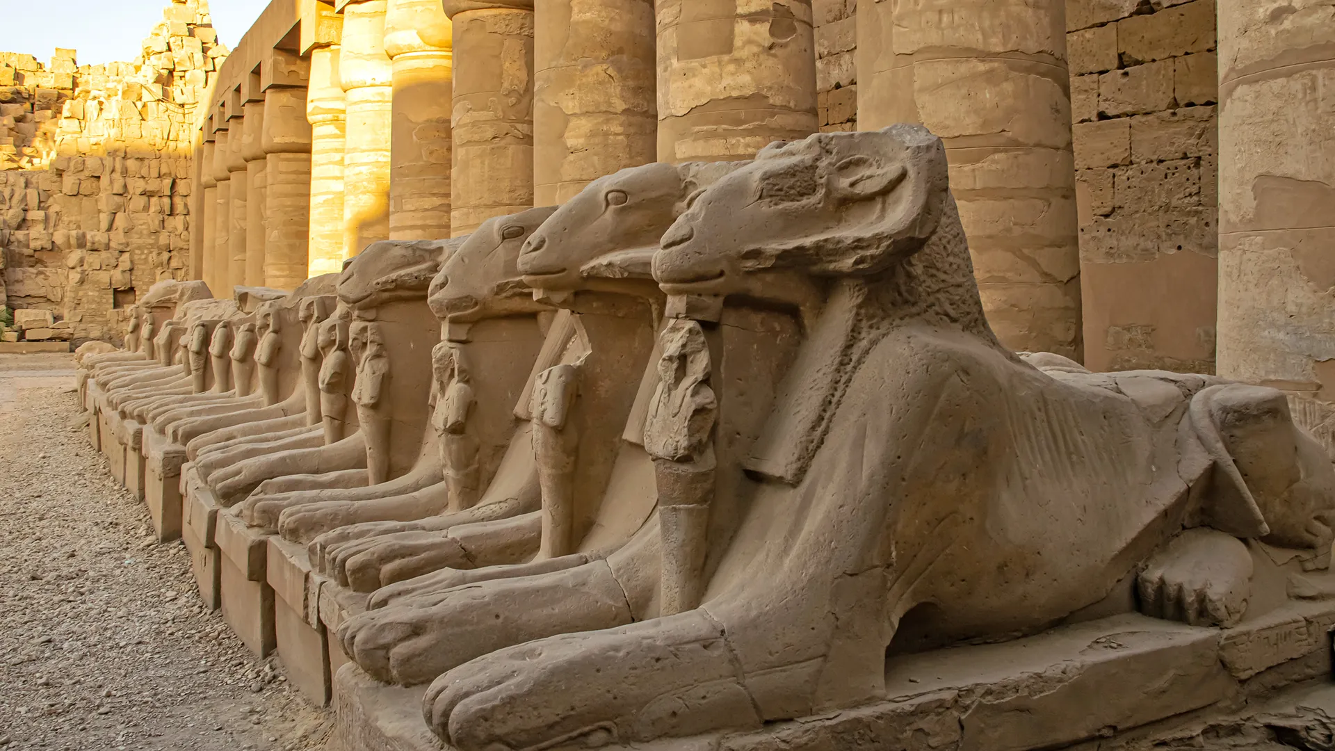 {"en":"Two-Day Cairo and Luxor Trip from Marsa Alam"}