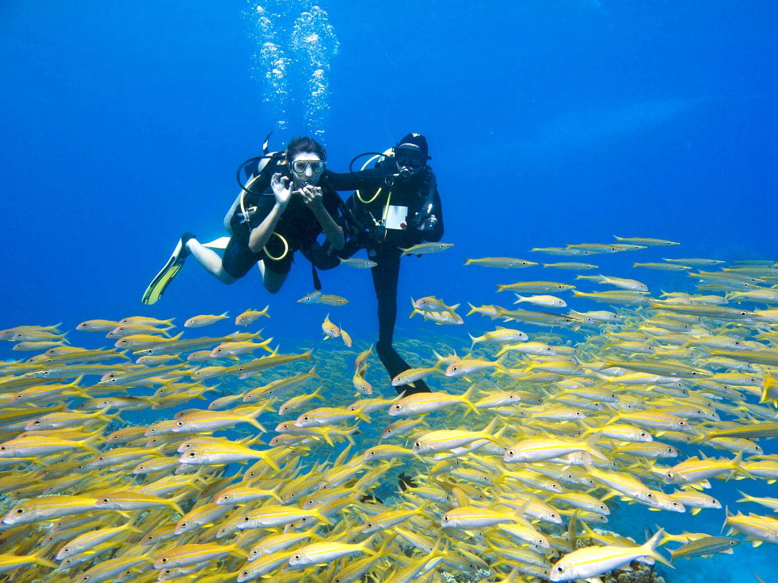 {"en":"hurghada scuba diving"}