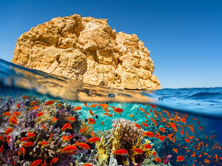 {"en":"Sharm El Sheikh Attractions"}