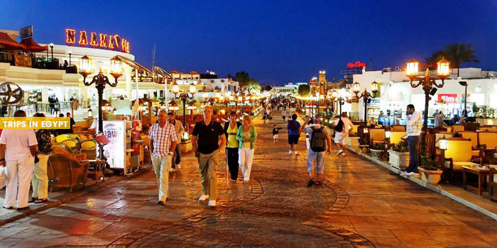 {"en":"5 Days Cairo and Sharm El Sheikh Family Package"}