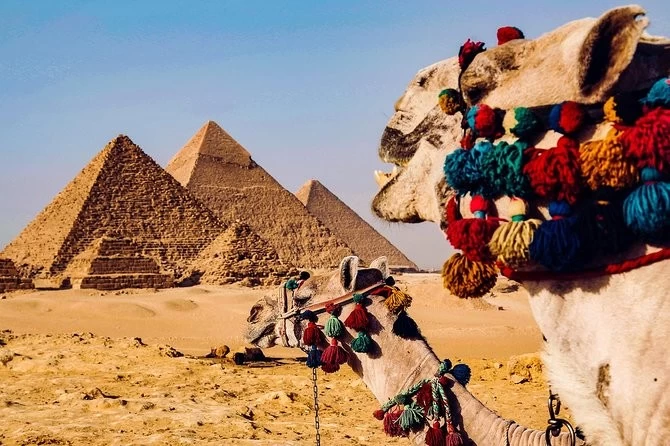 Camel Ride in Giza Pyramids