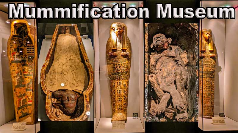 Mummification Museum