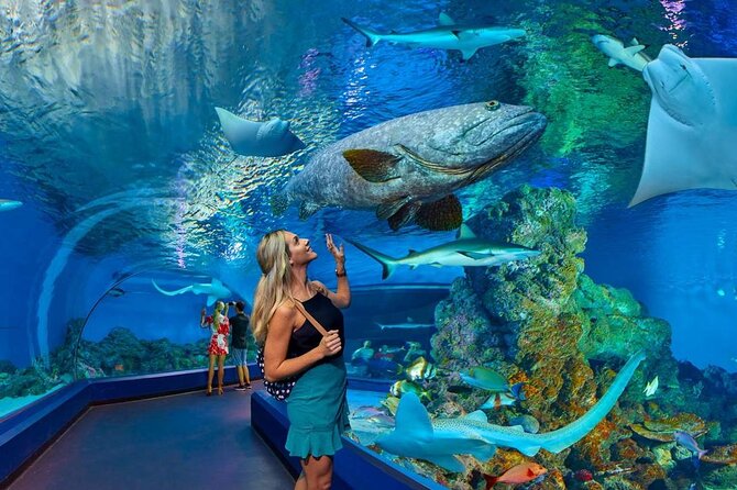 Hurghada Grand Aquarium