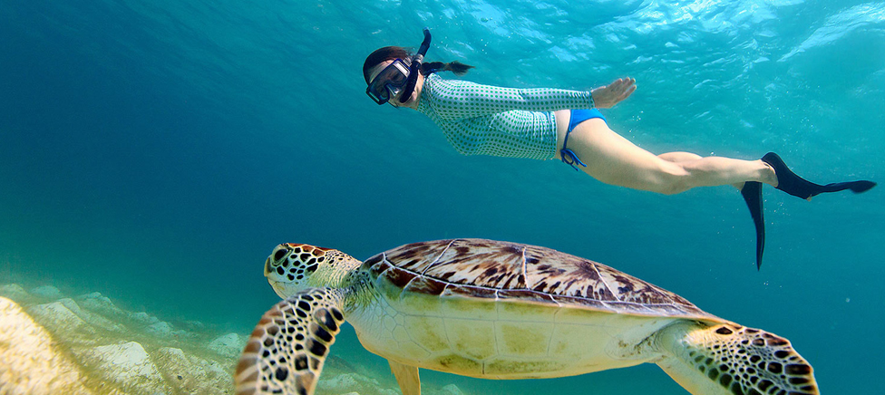 Snorkeling in hurghada