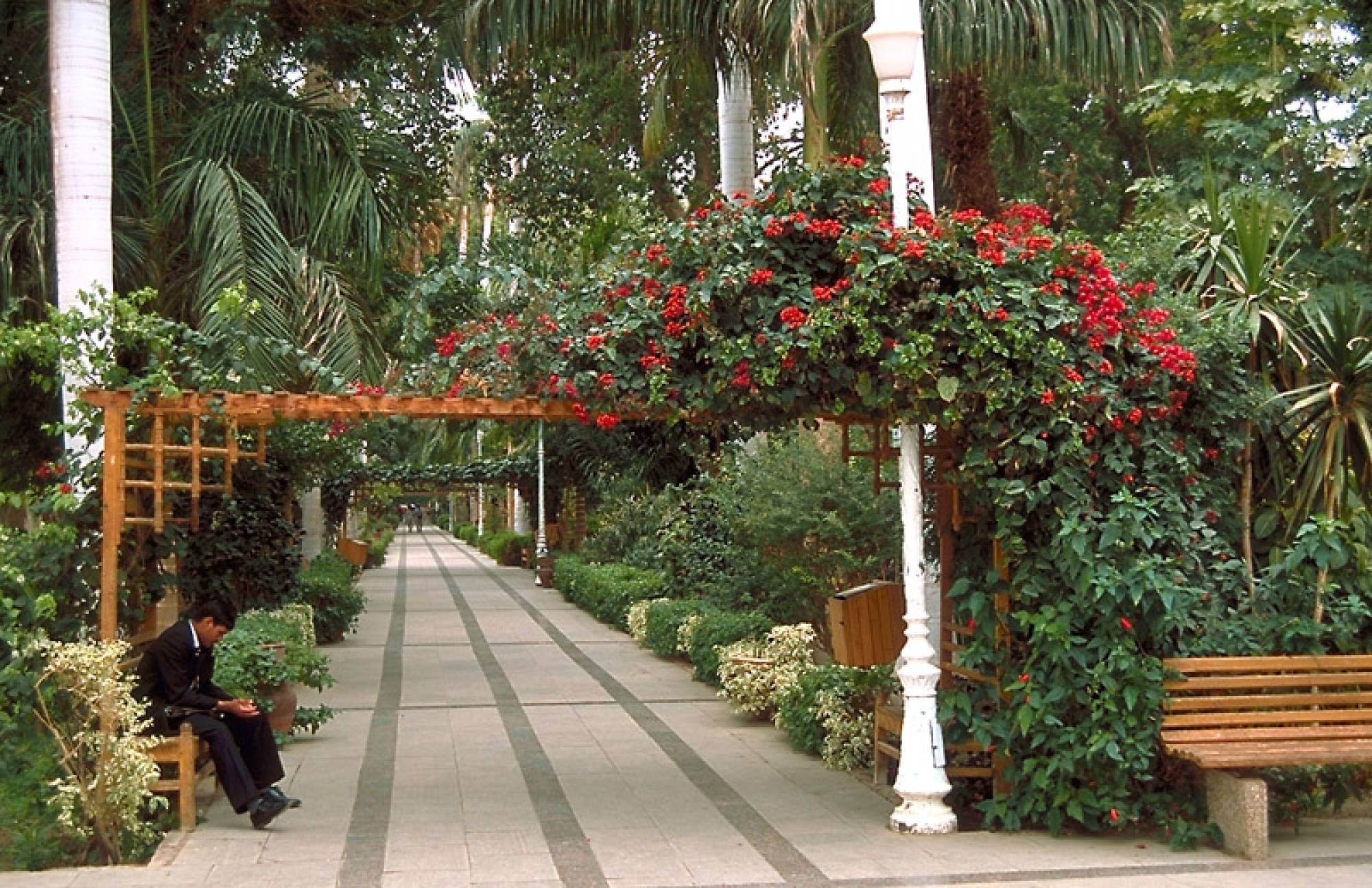 Day Tour to Aswan Botanical garden