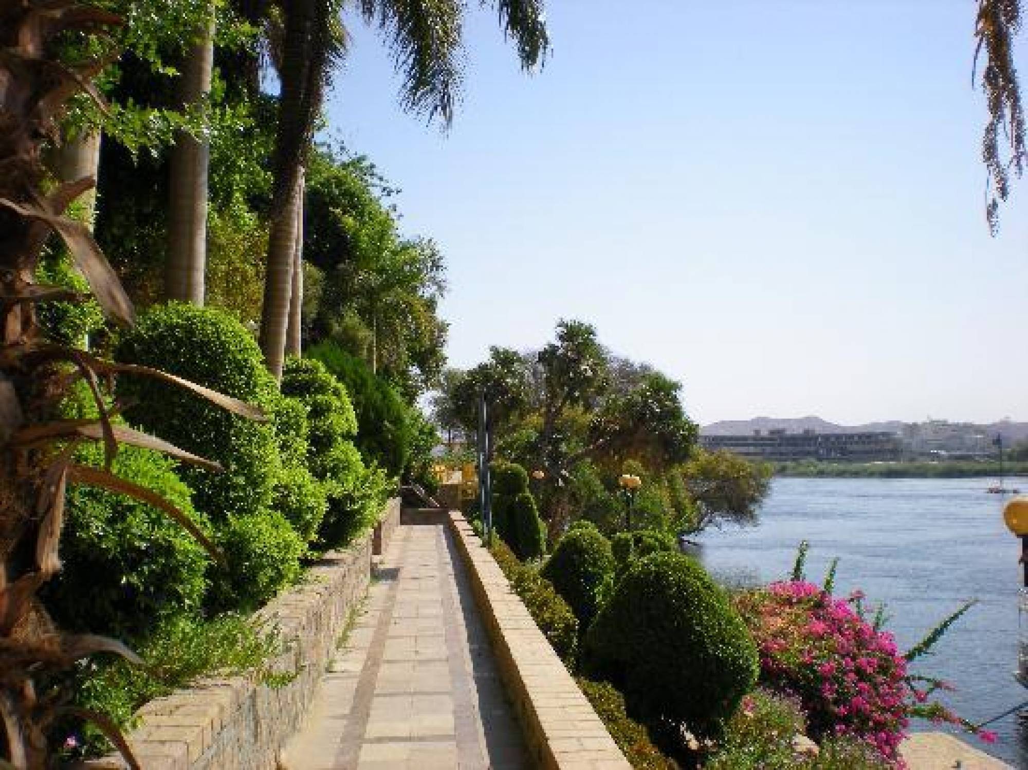 {"en":"Day tour to Aswan Botanical Gardens"}