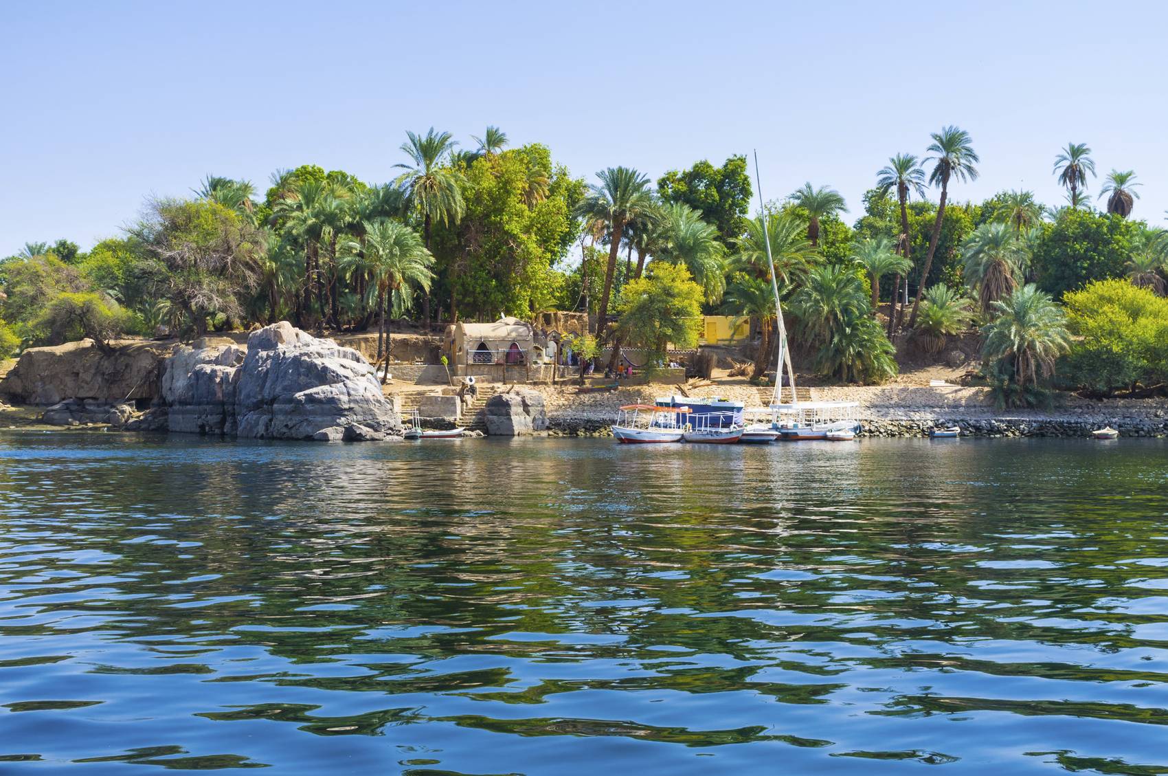 {"en":"aswan botanical garden in aswan egypt"}