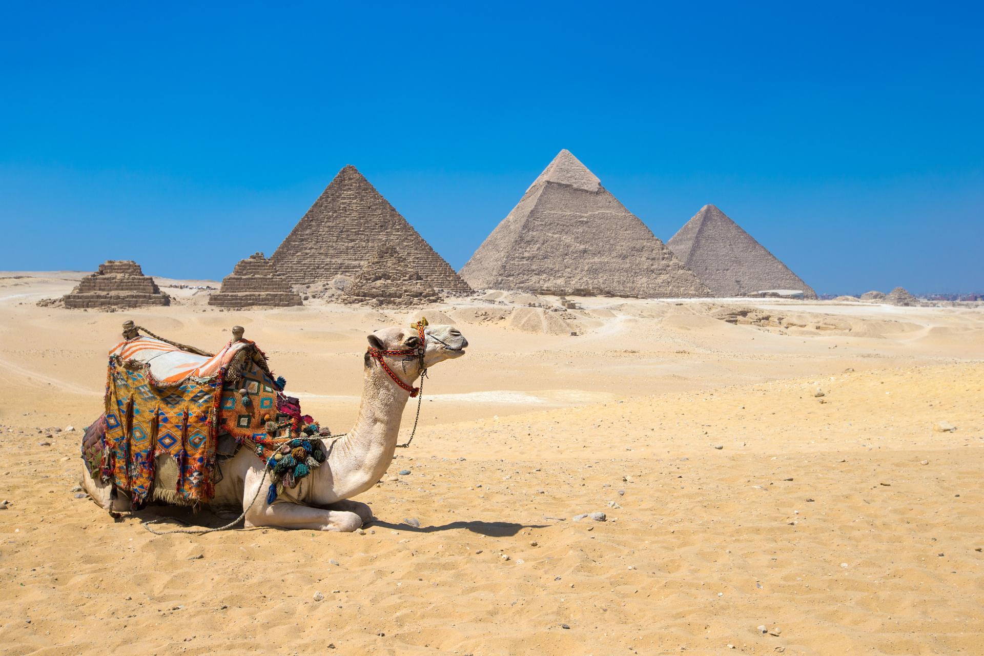 {"en":"Aswan to cairo day tour"}